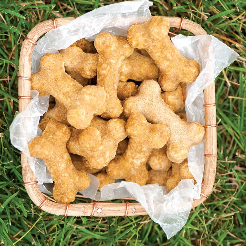 30922 Dog Treats Grass02A